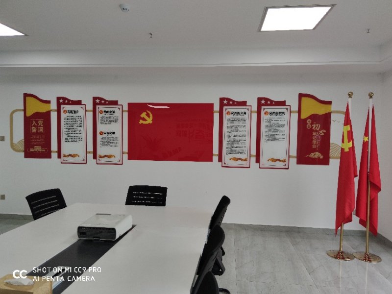 龙8头号玩家集团迎“七一”党员大会