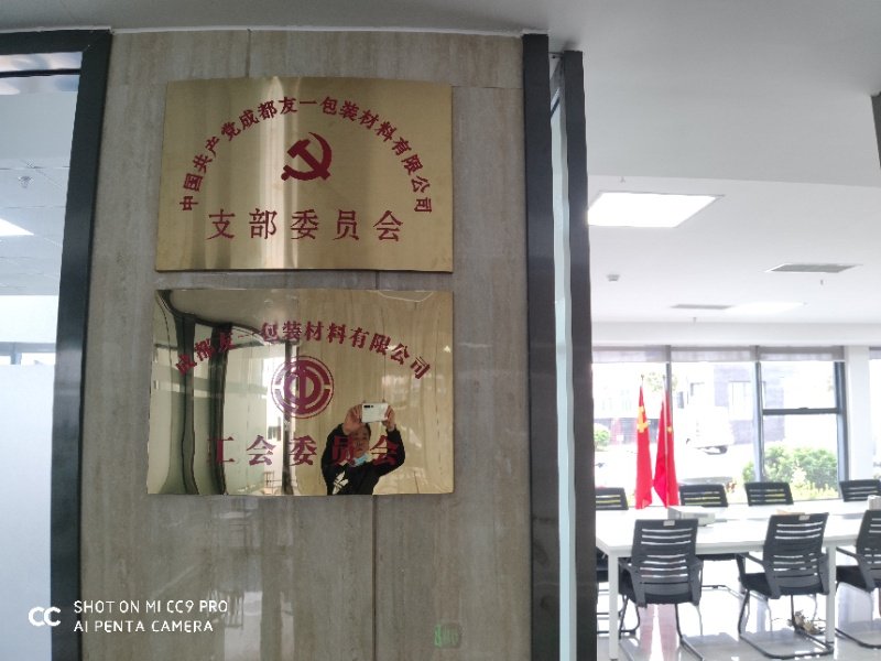 热烈祝贺龙8头号玩家集团成都分公司党支部在2020年3月11日授牌成立，支部书记曹云(行政部经理)